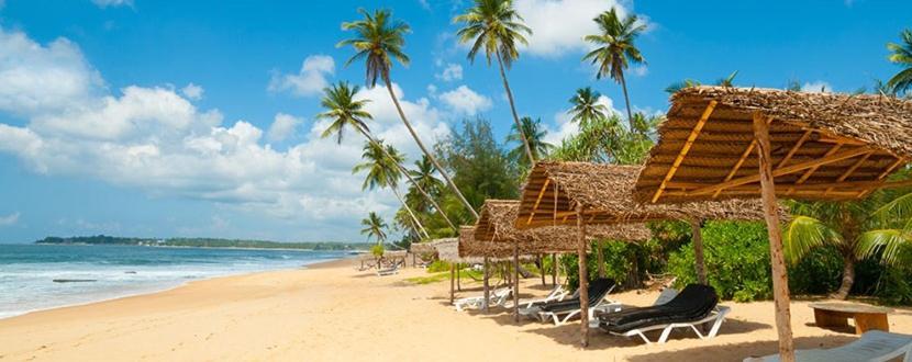 Blu Marine Nilaveli Hotel Trincomalee Luaran gambar